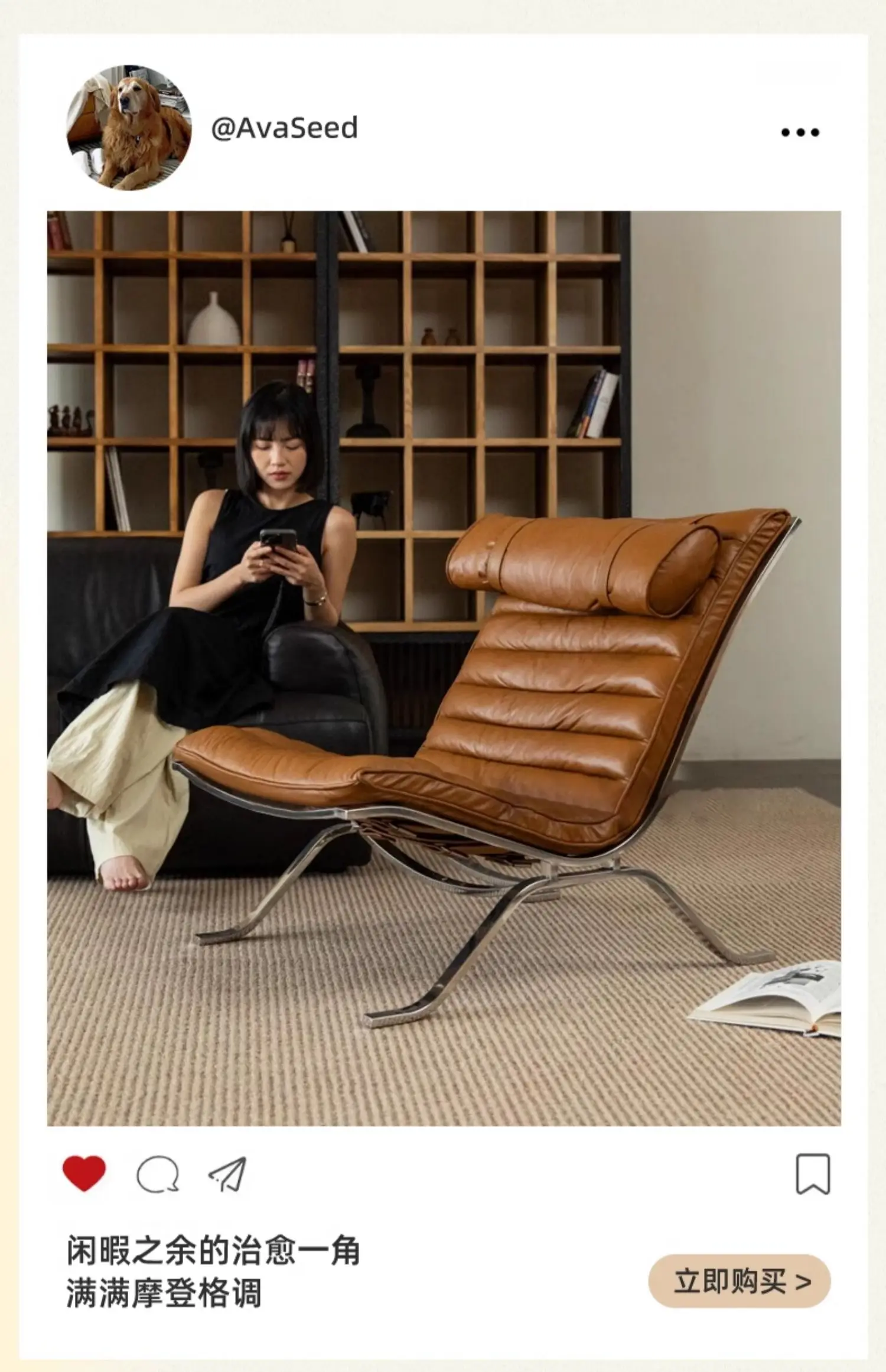 Single Sofa Chair Minimalist Light Luxury Living Room Middle-aged Style High-end Designer Sofa Chair Lazy Leisure Recliner