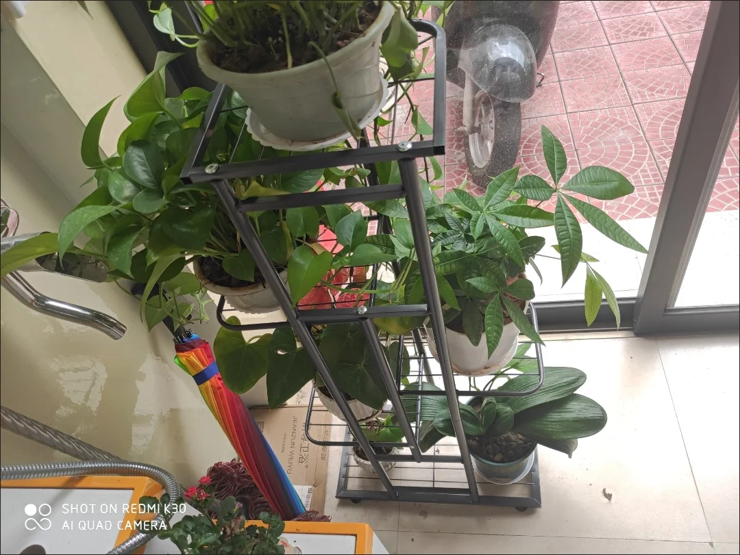 Bluesdeer Iron Flower Stand Pots Tray Plant Shelves Planter Display Rack Storage Holder Shelf Home Balcony Garden Decoration