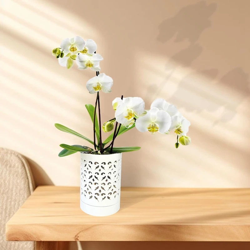 Orchid Pots with Holes,4 Inch Ceramic Orchid Pot for Repotting, Flower Planter Pot Indoor Outdoor, Breathable White