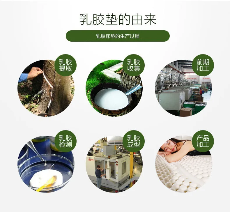 UVR High Quality 100% Natural Latex Tatami Mattress Slow Rebound Hotel Special Single Double Mattress With White Inner Cover