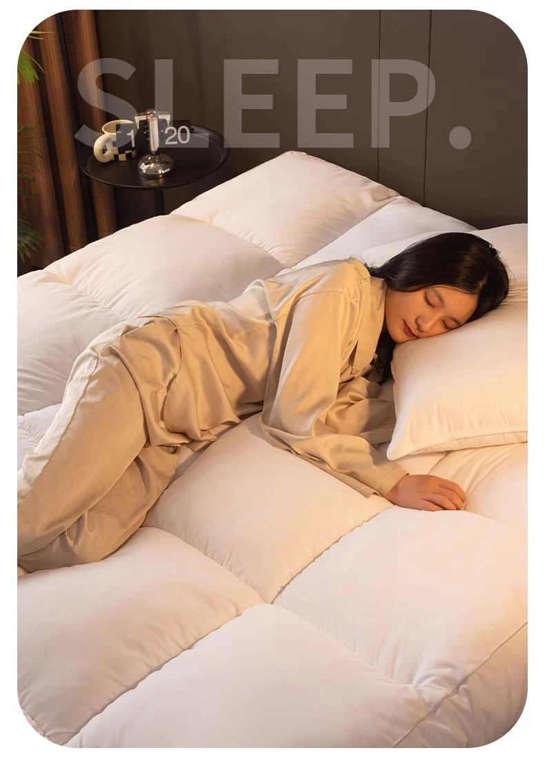 Home Mattresses Hotel Mattresses in Winter Thickened Warm Dormitory Students Single Bed Mattress Plate