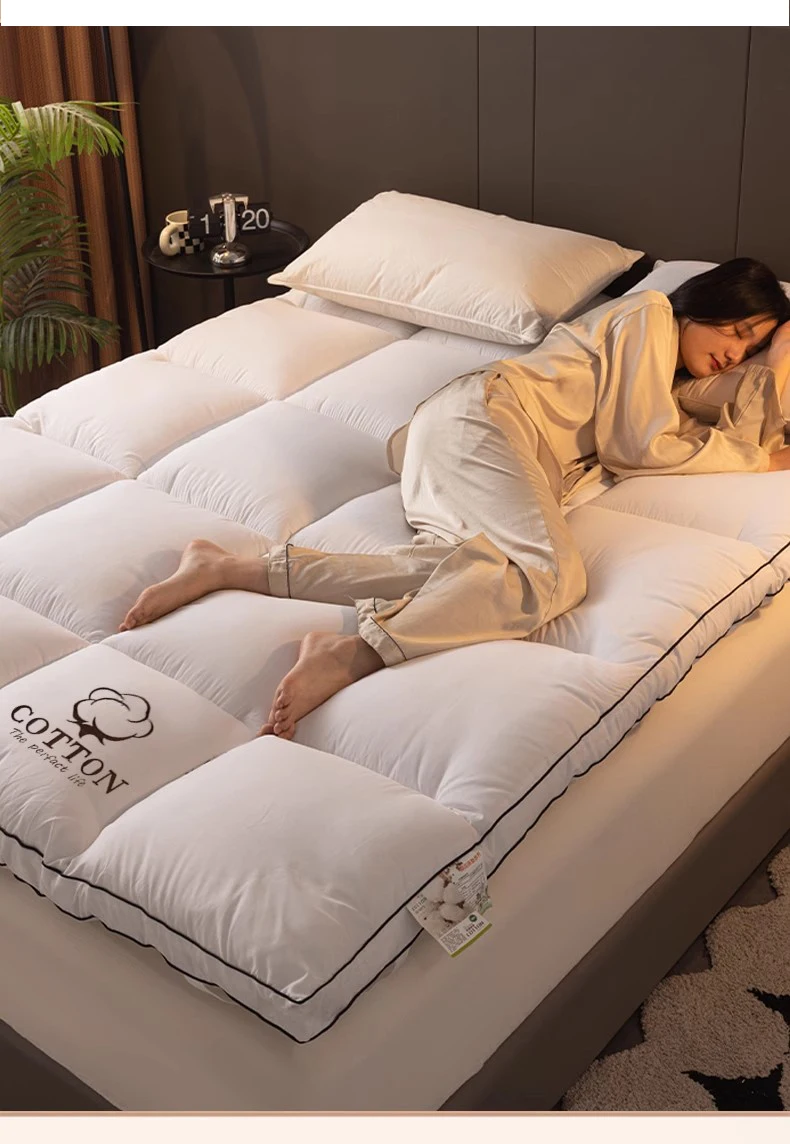 Home Mattresses Hotel Mattresses in Winter Thickened Warm Dormitory Students Single Bed Mattress Plate