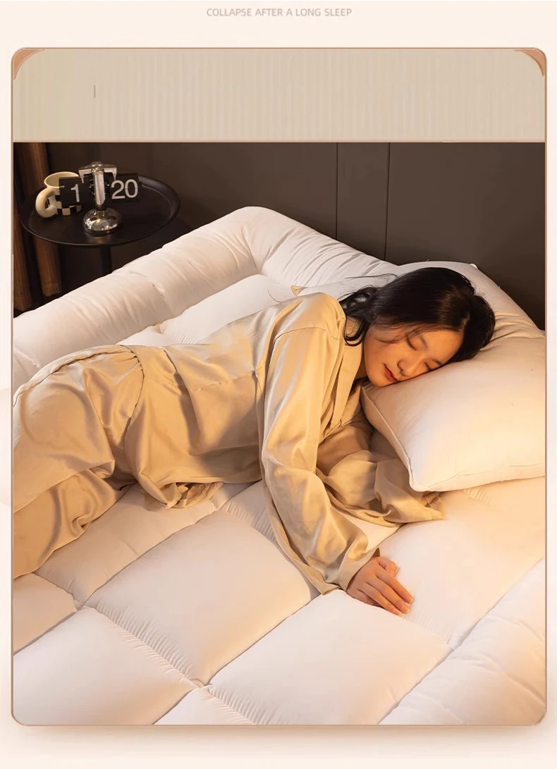 Home Mattresses Hotel Mattresses in Winter Thickened Warm Dormitory Students Single Bed Mattress Plate