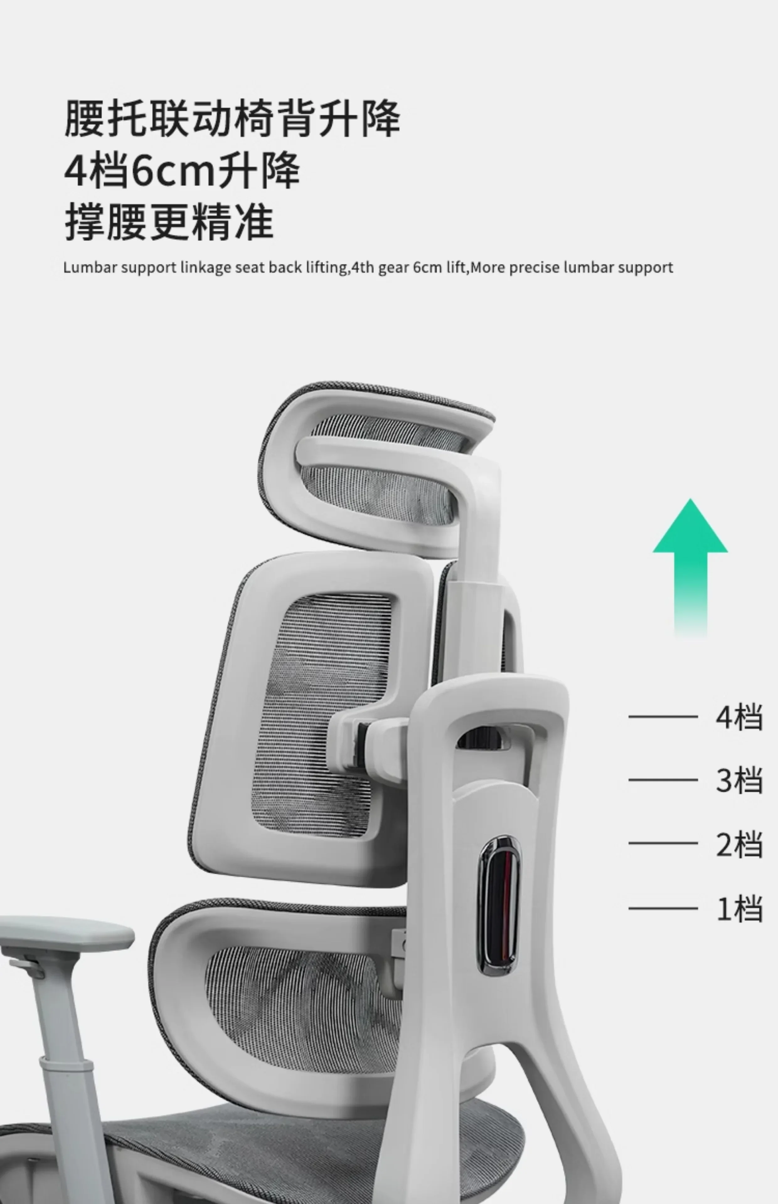 Ergonomic Lift Office Chair with Lumbar Support Household Gaming Esports Chair Household Computer Chair