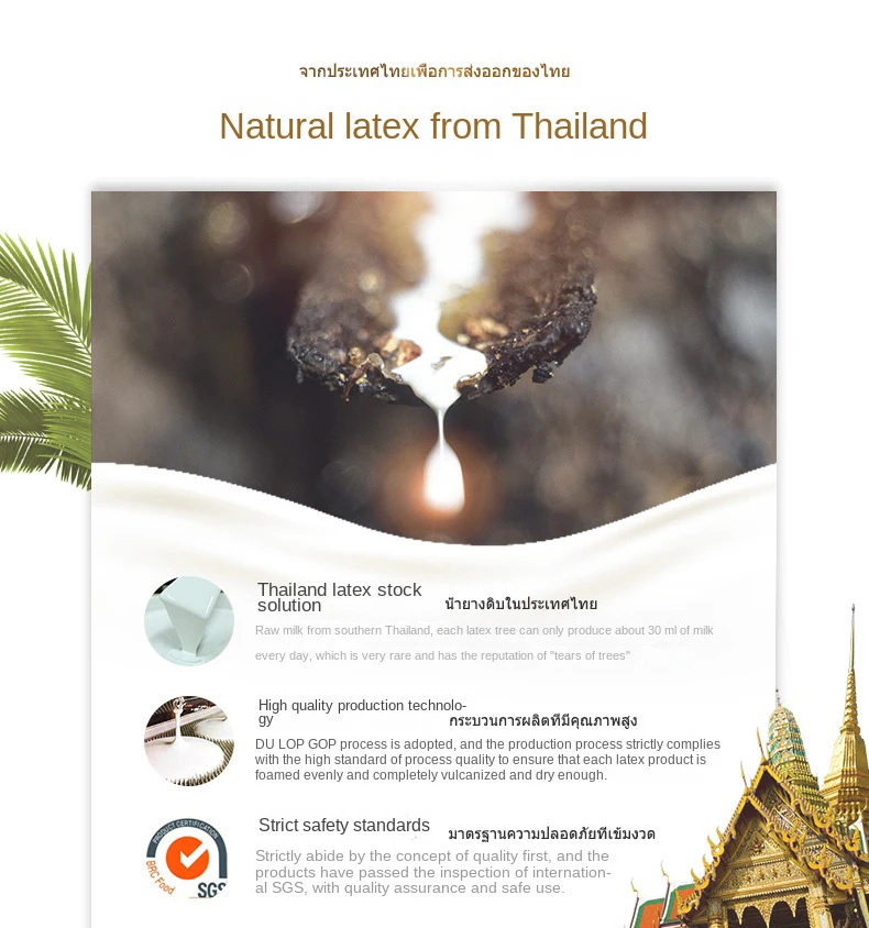 100% Thailand Natural Latex Mattress High End Latex Mats Source Liquid Foldable Slow Rebound Chinese Mat with Cover Customizable