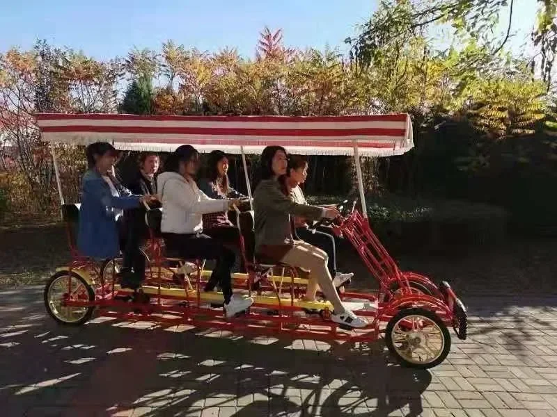 2pcs/lot 4 Wheels 6 Seater Tourist Sightseeing Pedal Surrey Bike Road Tandem Bicycles For Park
