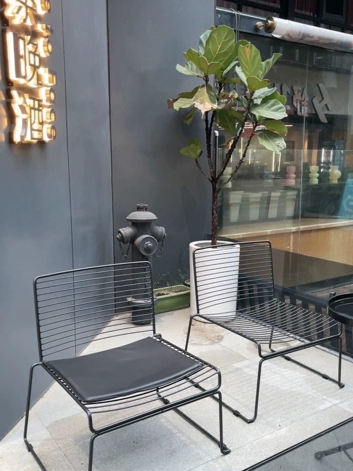 Nordic Style Home Dining Chair Retro Designer Accent Living Room Minimalist Seat Outdoor Balcony Leisure Ins-Style Furniture