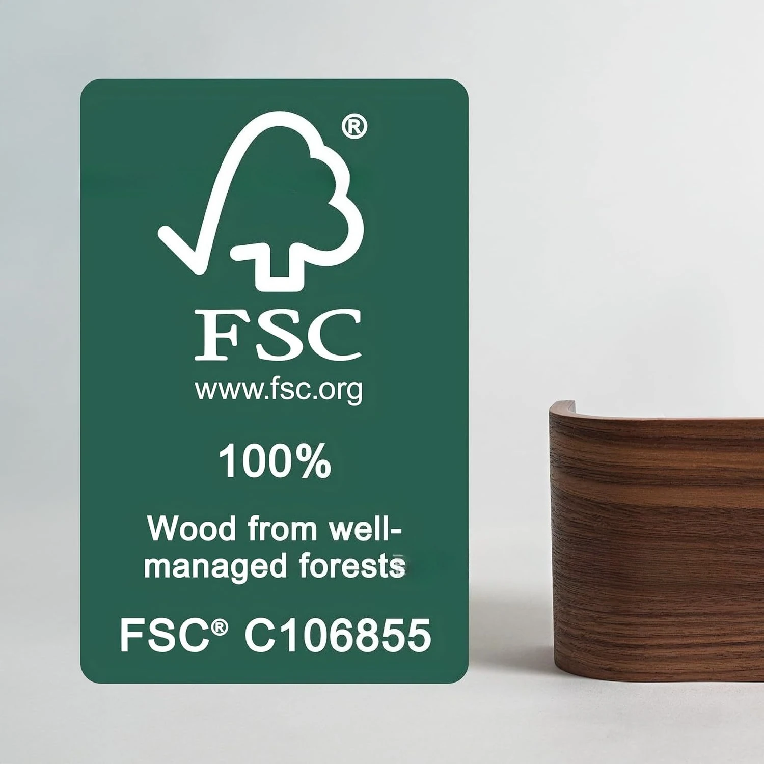 Walnut Wall clothes rac, Walnut Wall Hanger, Entrance Coat Hook, Veneer Hanger, Wall Hanger Clothing Rack Stand Garment Rack