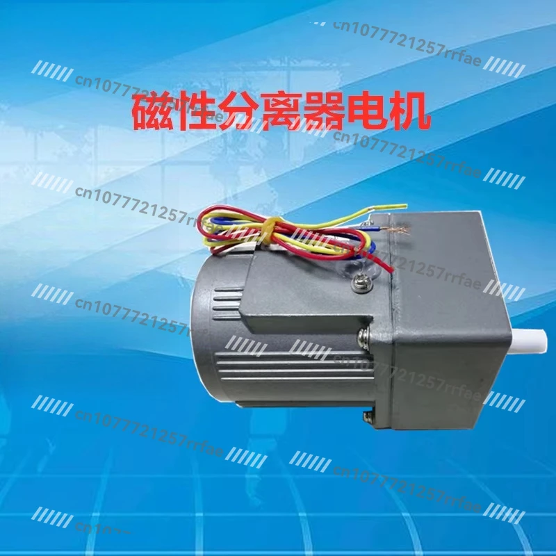 Special Motor for Magnetic Separator of Grinding Machine (380V/220V)
