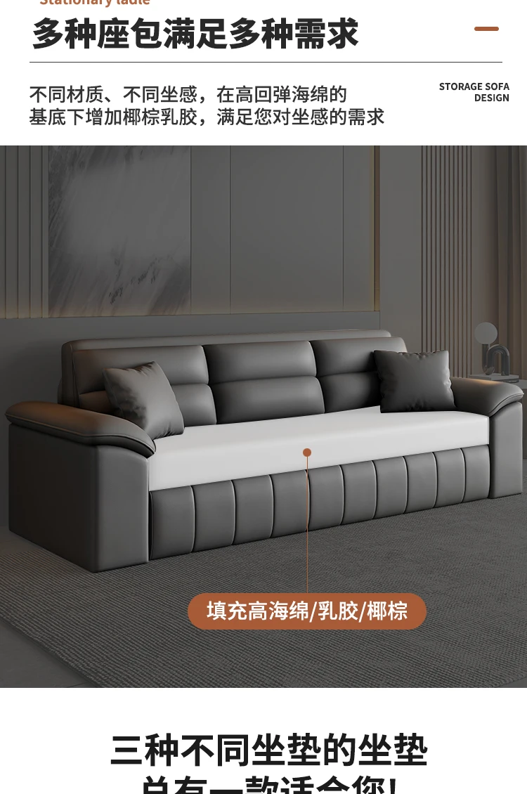 A Sofa Bed Folding Dual-Purpose Storage Household Double Small Apartment Living Room Internet Celebrity Cat Scratching Skin