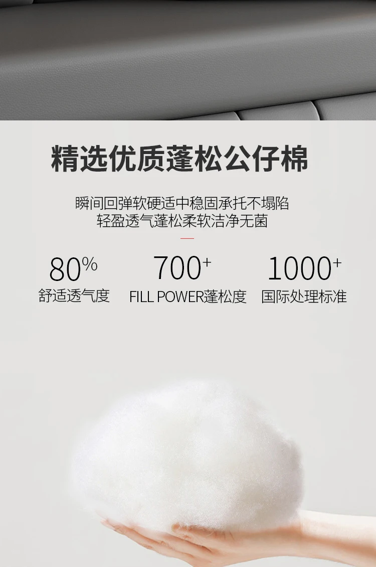 A Sofa Bed Folding Dual-Purpose Storage Household Double Small Apartment Living Room Internet Celebrity Cat Scratching Skin