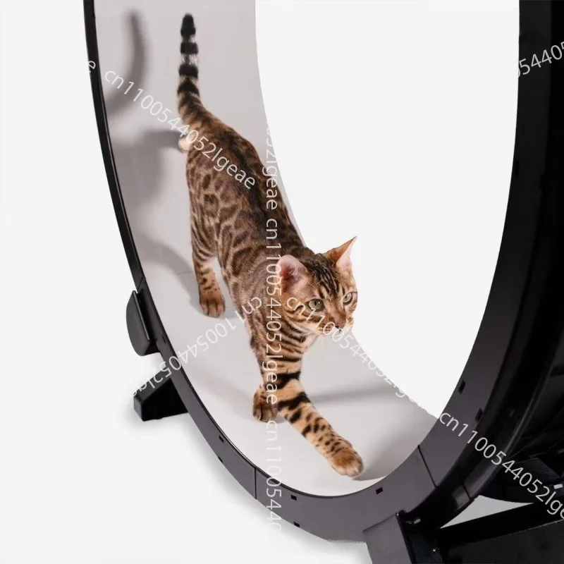 Cat treadmill cat climbing frame cat training silent silky