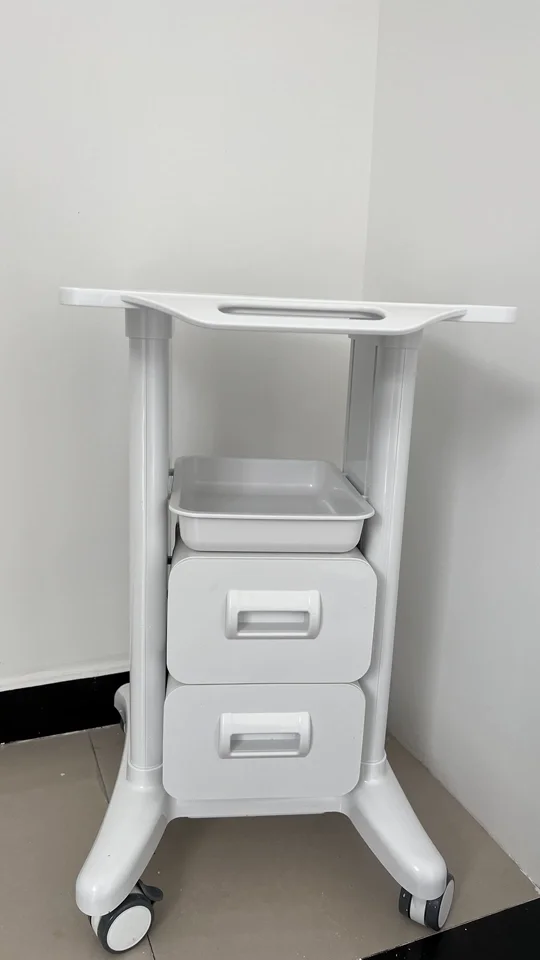 Beauty Salon Rolling Cart Mobile Skincare Instrument Trolley Multi-Tier Tool Organizer Drawer Heavy-Duty Cosmetic Storage Rack