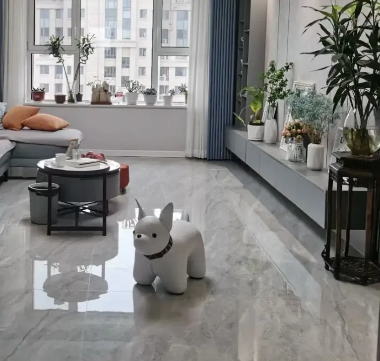 Dog Shoe Bench Home Entrance and Living Room Animal Themed Seat Cute Animated Children Stool Portable Stool Chair