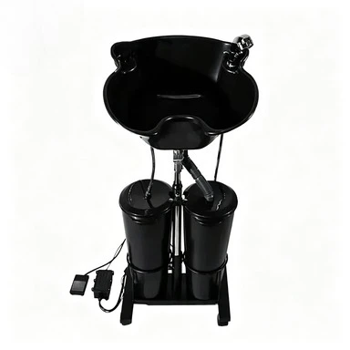Vertical Electric Shampoo Basin Portable Double Bucket with Water Pump Movable Sink