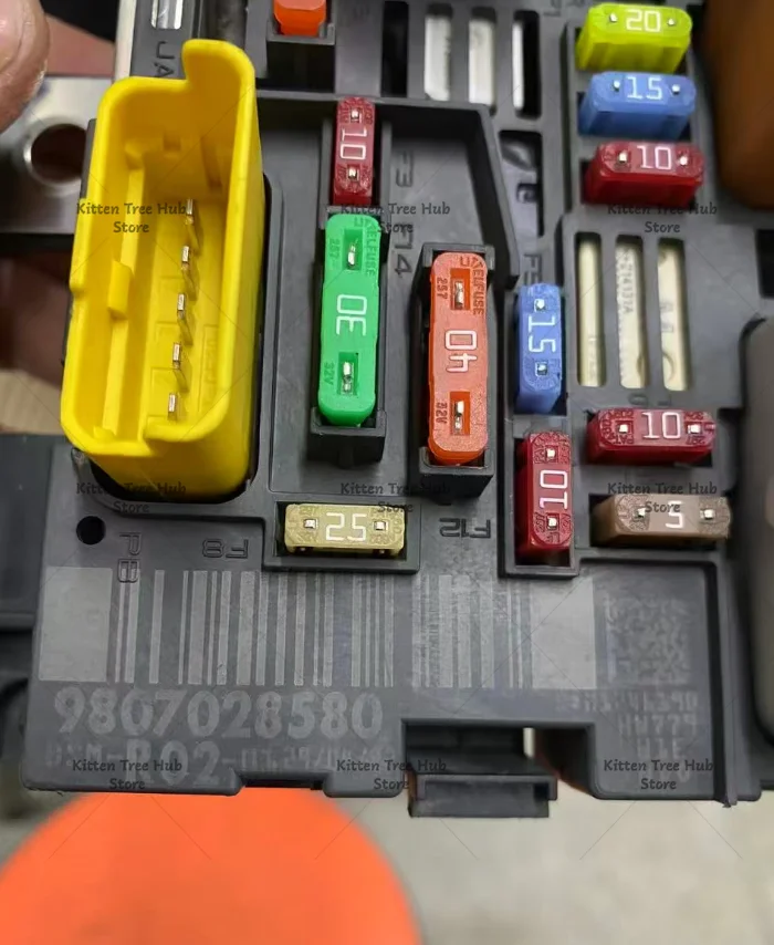 Fuse Box Control Unit BSM-R01 R02