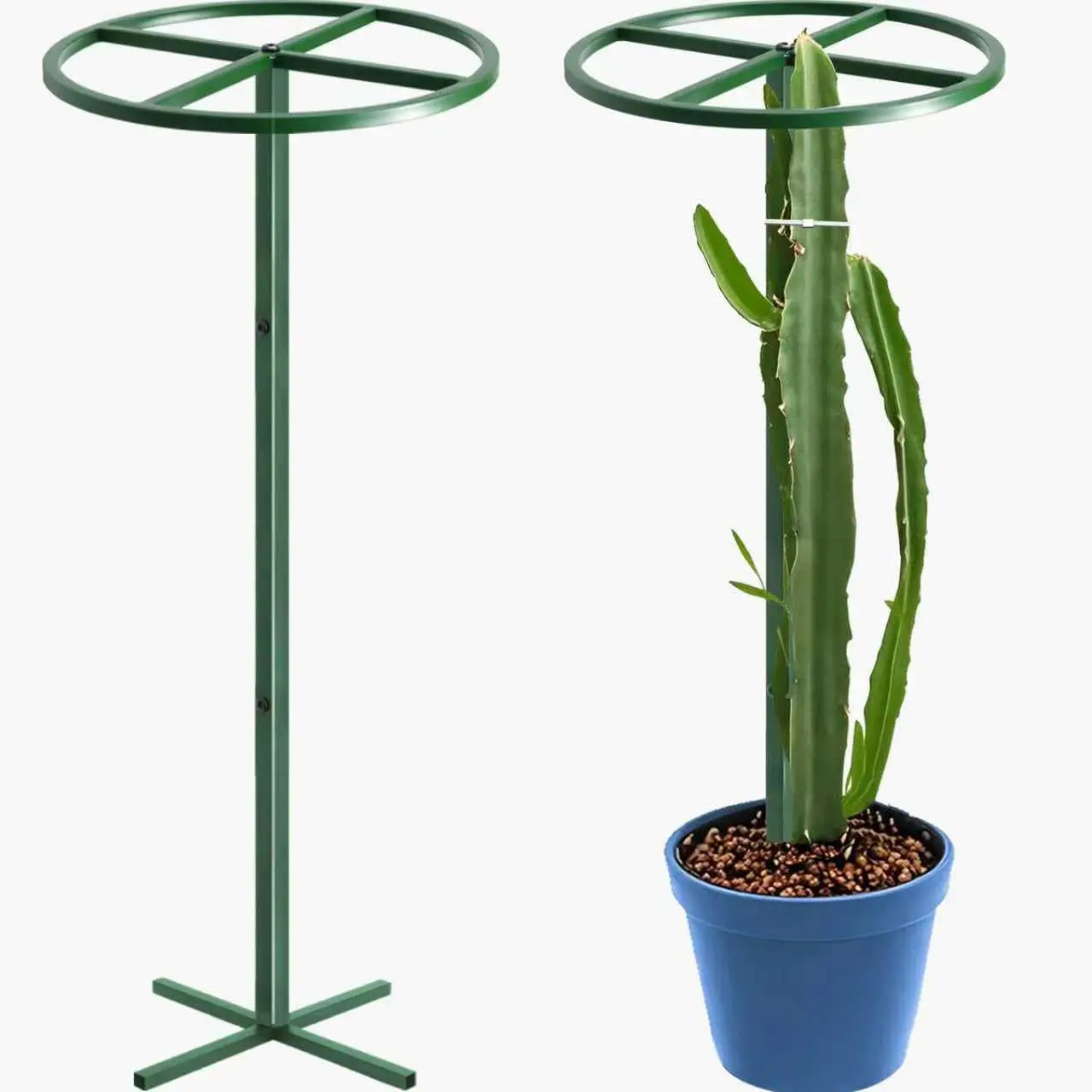 62-Inch Adjustable Support Frame Metal Dragon Fruit Stand Adjustable Vertical Gardening Trellise Indoor Outdoor Support