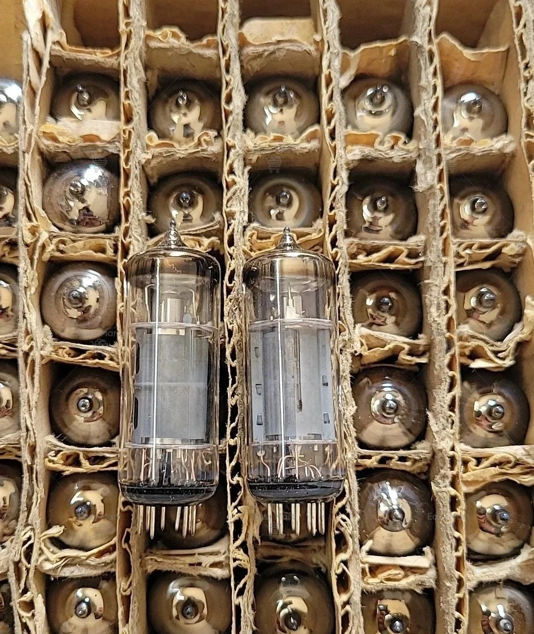 New Soviet 6P1P-EV Electron Tube 6P1 6005 6AQ5 6P1 6N1N