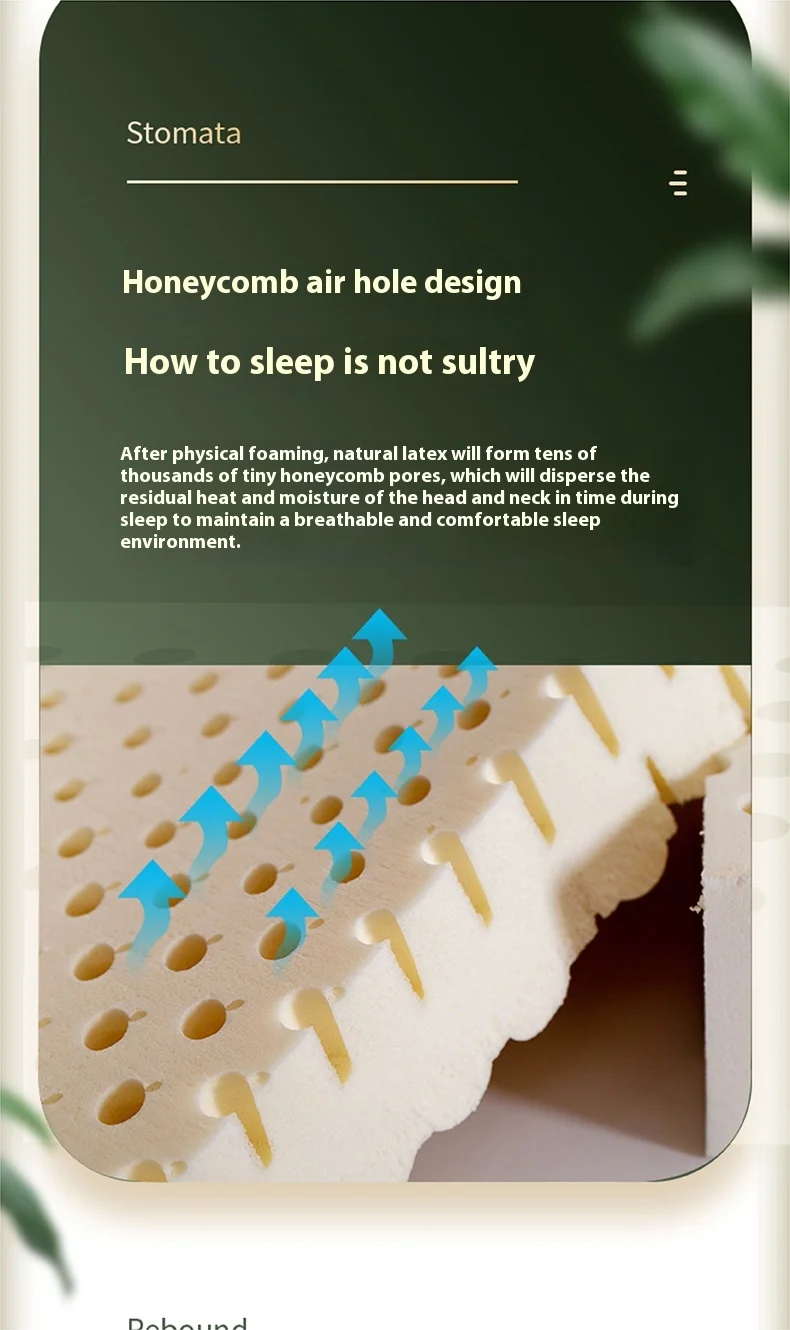 Natural Latex Double Mattresses King Size Molblly Foldable Latex Mattresses Twin Queen Folding Colchon Matrimonial Furniture
