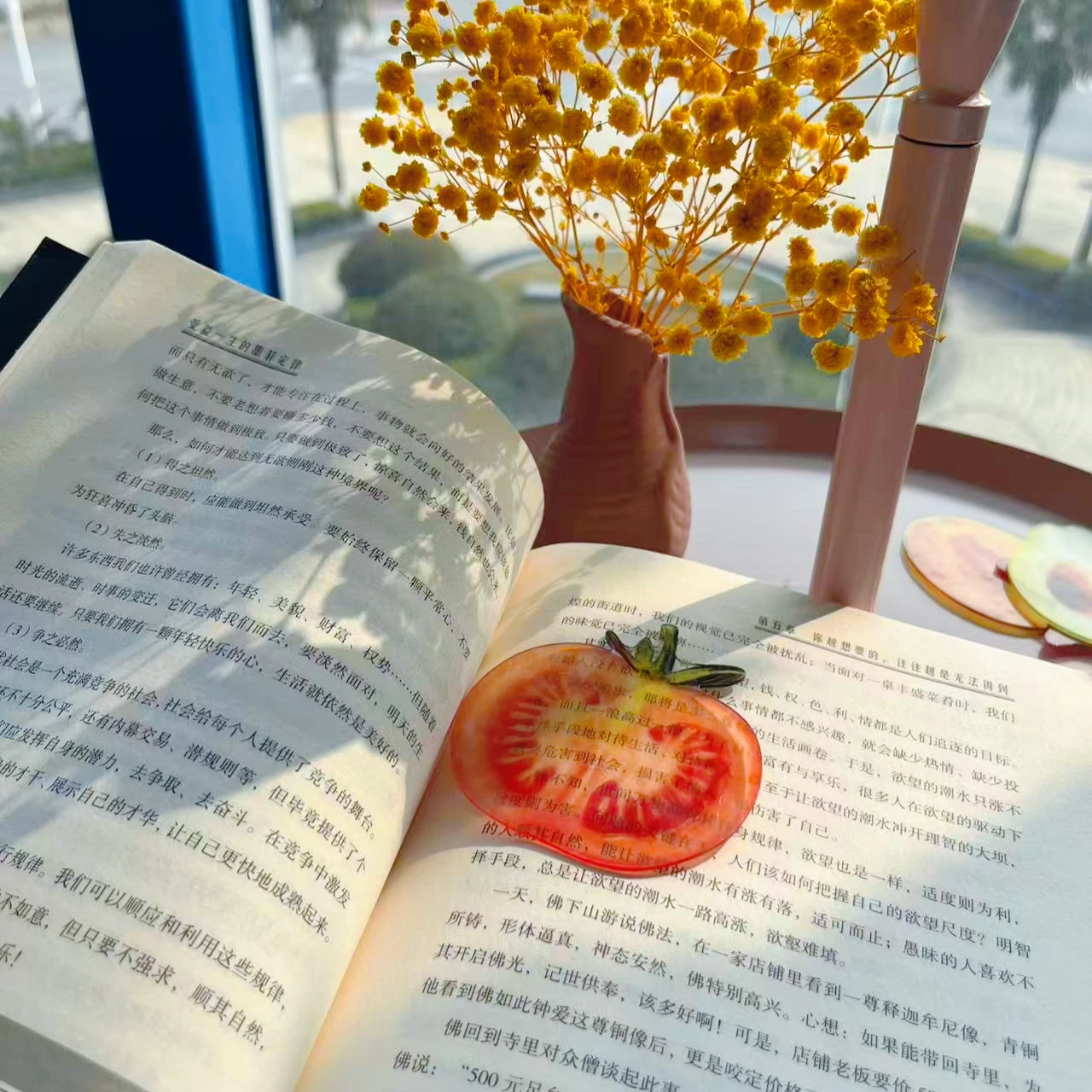 Tomato bookmark acrylic high-end sense transparent cute exquisite student gift reading mark transparent card