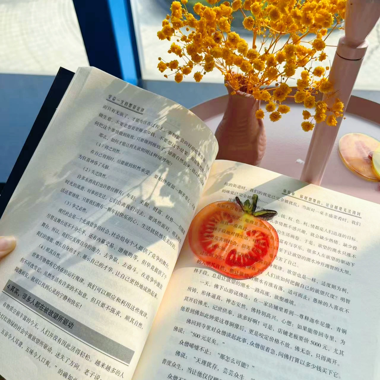 Tomato bookmark acrylic high-end sense transparent cute exquisite student gift reading mark transparent card