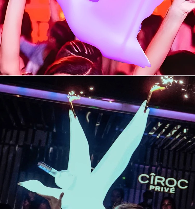 New Illuminated Swan Bottle Presenter Nightclub Bar Party White Gray Goose Vodka Display Rechargeable Light Emitting Diode