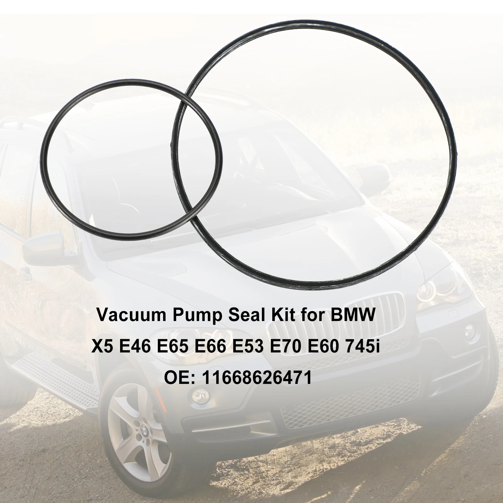 Areyourshop Vacuum Pump Seal Kit for BMW X5 E46 E65 E66 E53 E70 E60 745i 11668626471