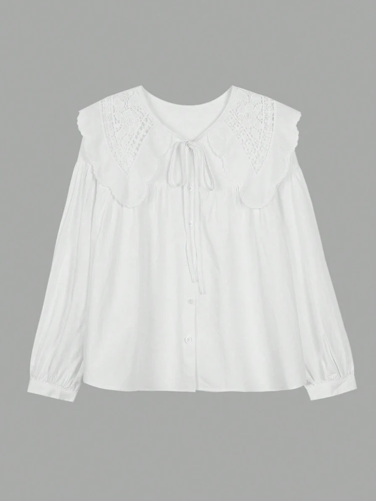 Women's Casual Loose Doll Collar Blouse, Elegant Lace Trim Peter Pan Collar Shirt, Sweet Daily Top for Spring Summer