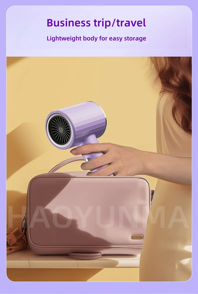 2400W High-Power Hair Dryer, Blue Light Ion Silent Magnetic Suction Hanger, Household Hair Salon Quick Drying Hair Dryer