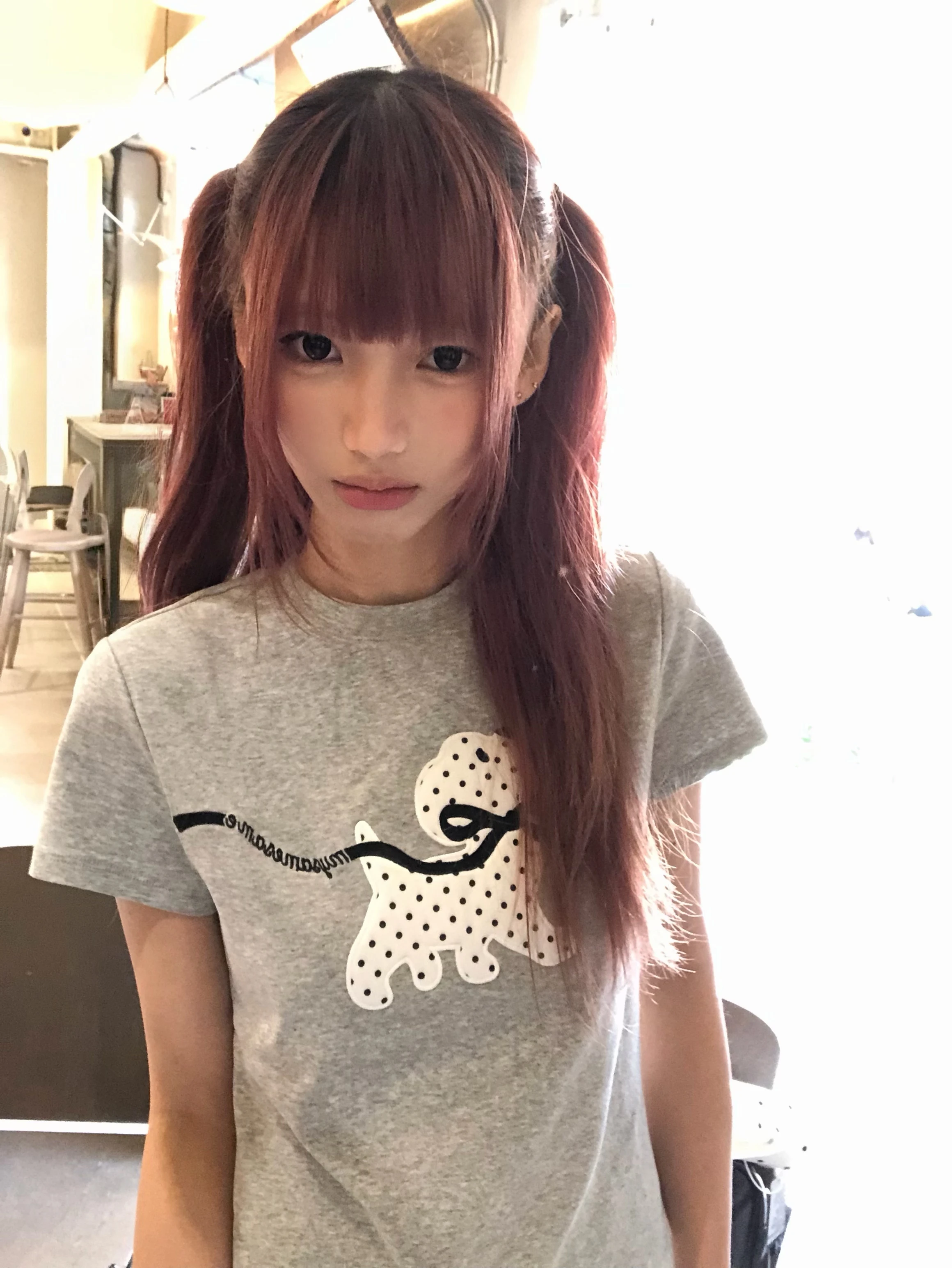 Karrram Japanese Y2k Polka Dot Puppy Print T-shirt 2000s Style Short Sleeve Grey T Shirt Vintage Harajuku Cutecore Tops American