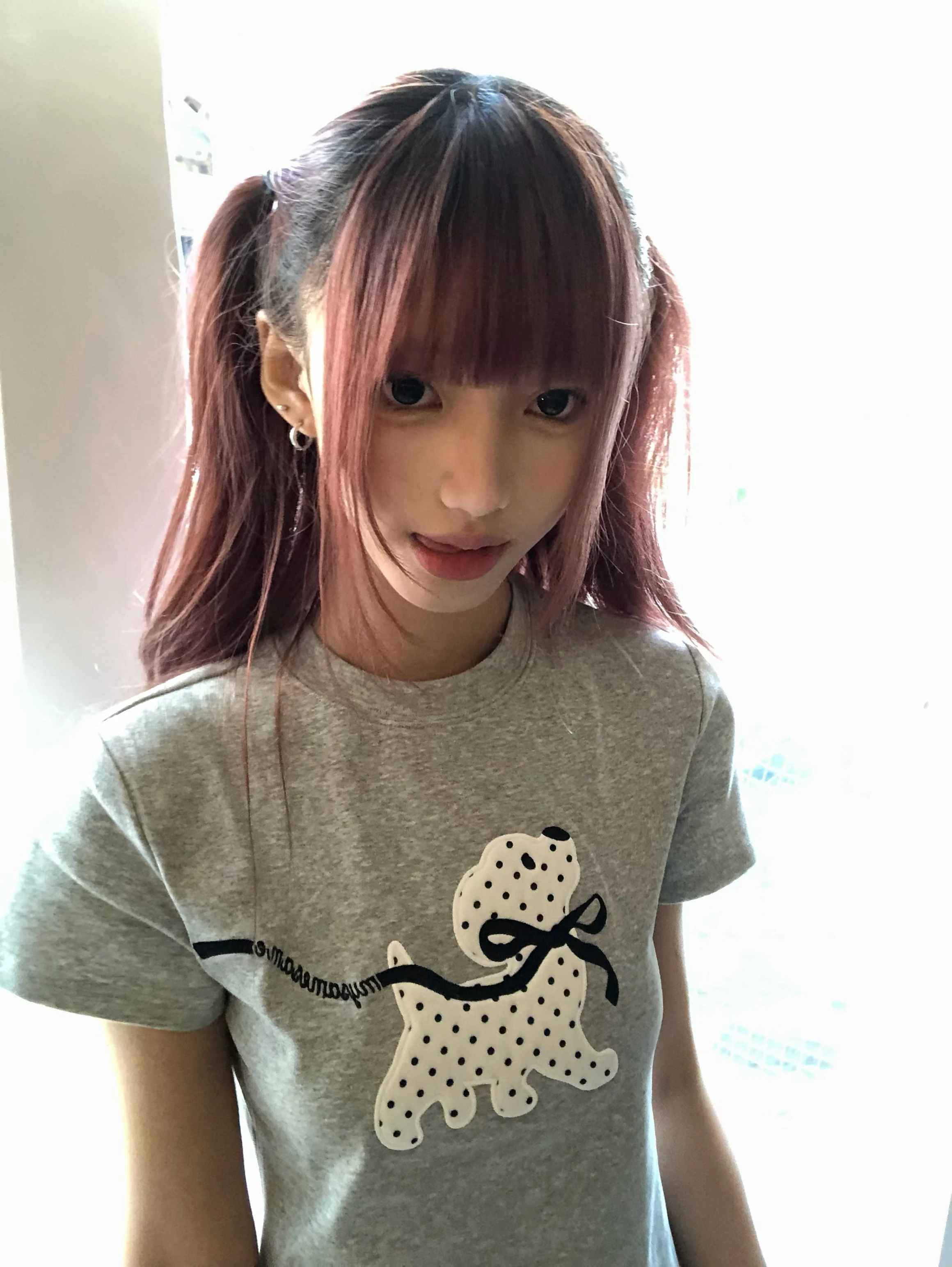 Karrram Japanese Y2k Polka Dot Puppy Print T-shirt 2000s Style Short Sleeve Grey T Shirt Vintage Harajuku Cutecore Tops American