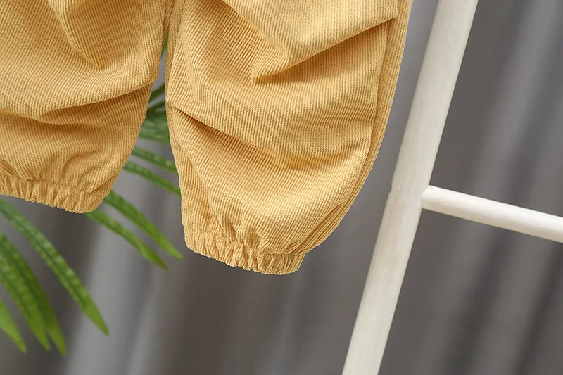 Children's Set Boys' Spring and Autumn New Korean Version Corduroy Letter Cardigan Long Sleeved Two-Piece Set