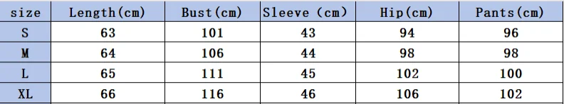 Monochrome Hooded Hoodie Set Casual European American Fashion 2-Piece Autumn Winter Hot Selling New Style