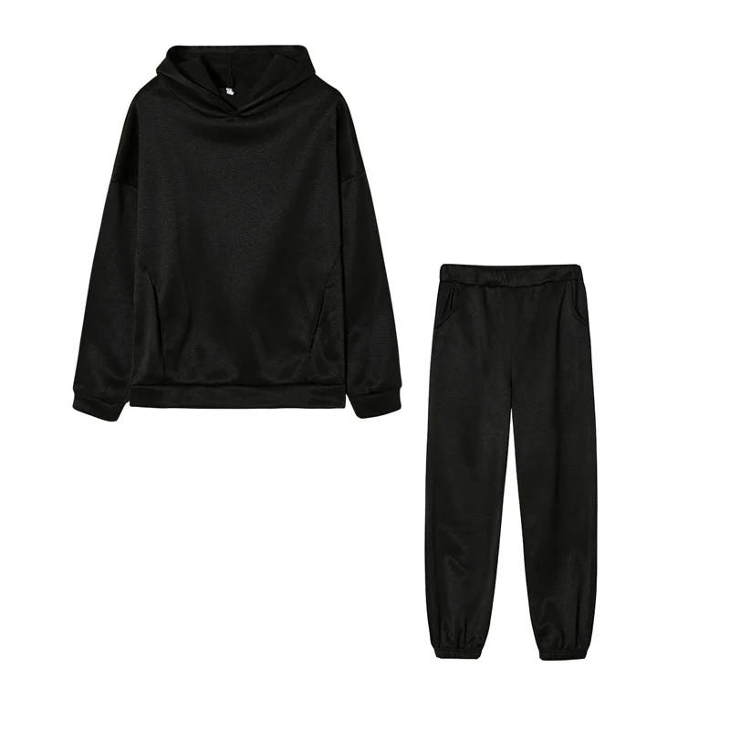Monochrome Hooded Hoodie Set Casual European American Fashion 2-Piece Autumn Winter Hot Selling New Style