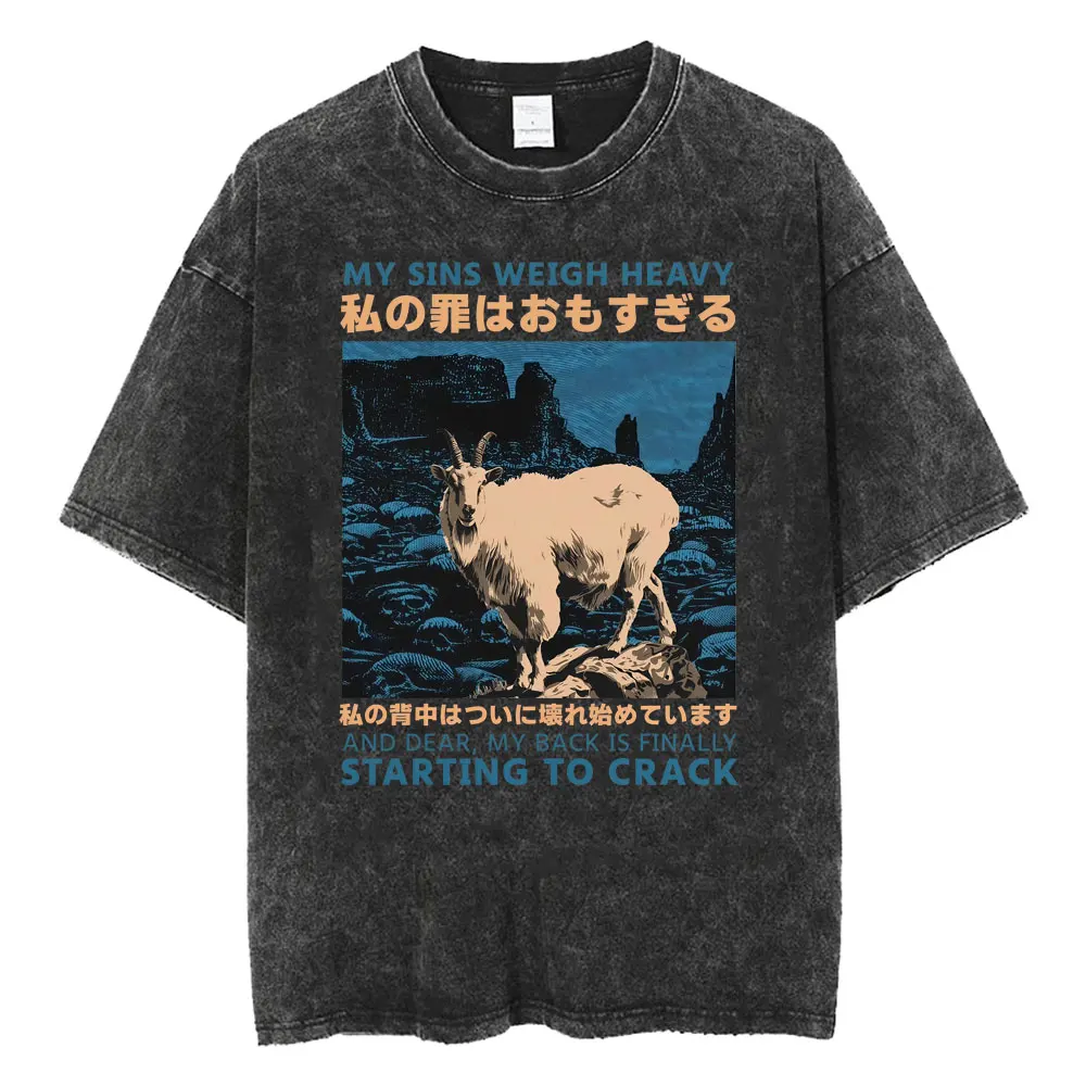 Funny LOTR Mordor Mount Doom National Park Vintage Washed T Shirts Men Women Fashion Japanese Style Oversized T-shirt Streetwear