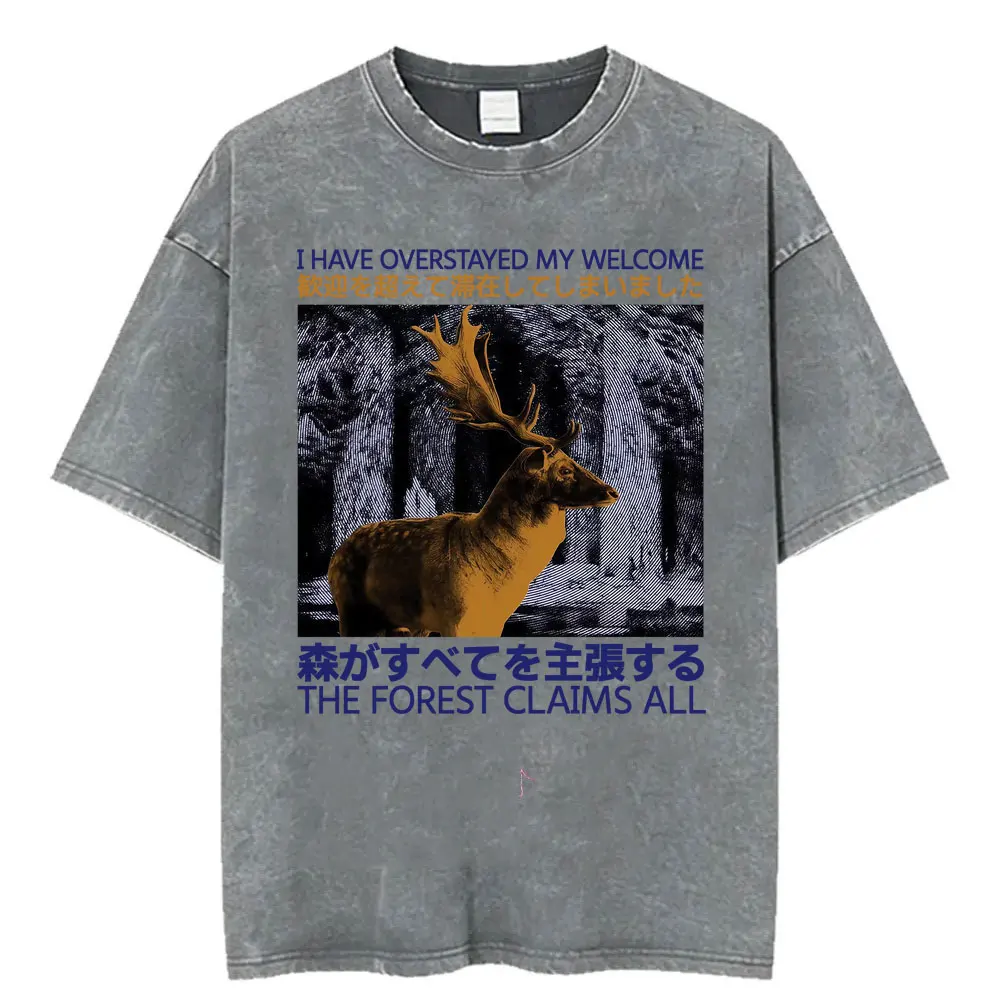 Funny LOTR Mordor Mount Doom National Park Vintage Washed T Shirts Men Women Fashion Japanese Style Oversized T-shirt Streetwear