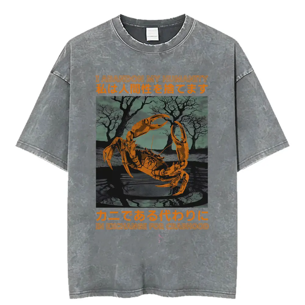 Funny LOTR Mordor Mount Doom National Park Vintage Washed T Shirts Men Women Fashion Japanese Style Oversized T-shirt Streetwear