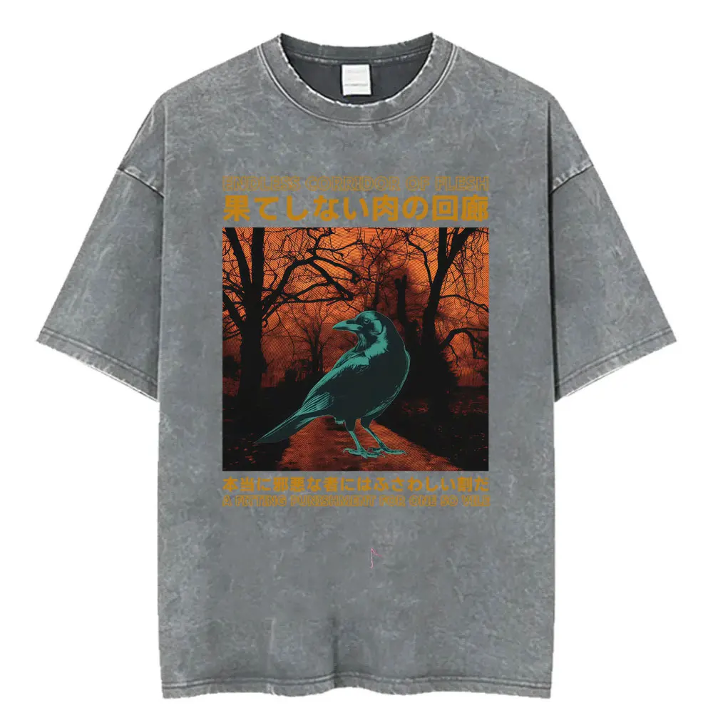 Funny LOTR Mordor Mount Doom National Park Vintage Washed T Shirts Men Women Fashion Japanese Style Oversized T-shirt Streetwear