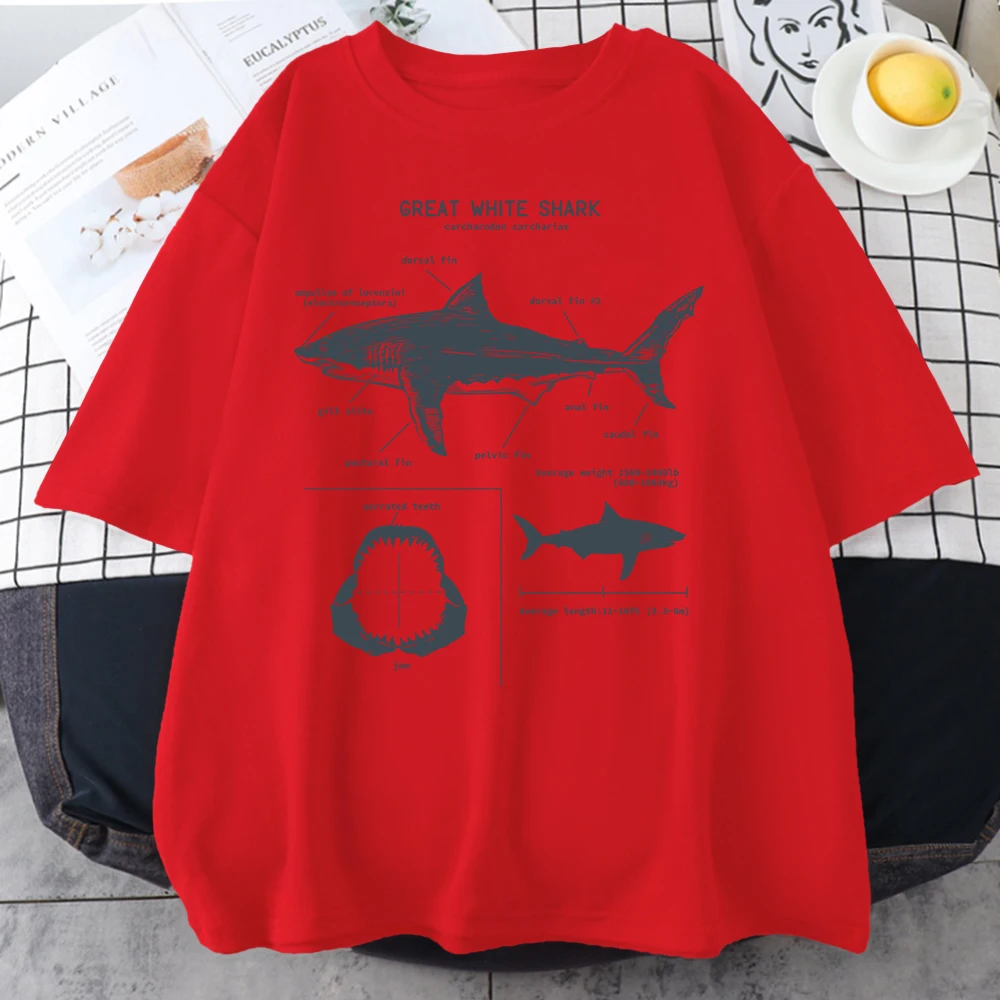 Great White Shark Anatomy T-Shirt New Summer Men Street Short Sleeve Hip Hop Punk Style Boy Casual Tops Oversize White Tees
