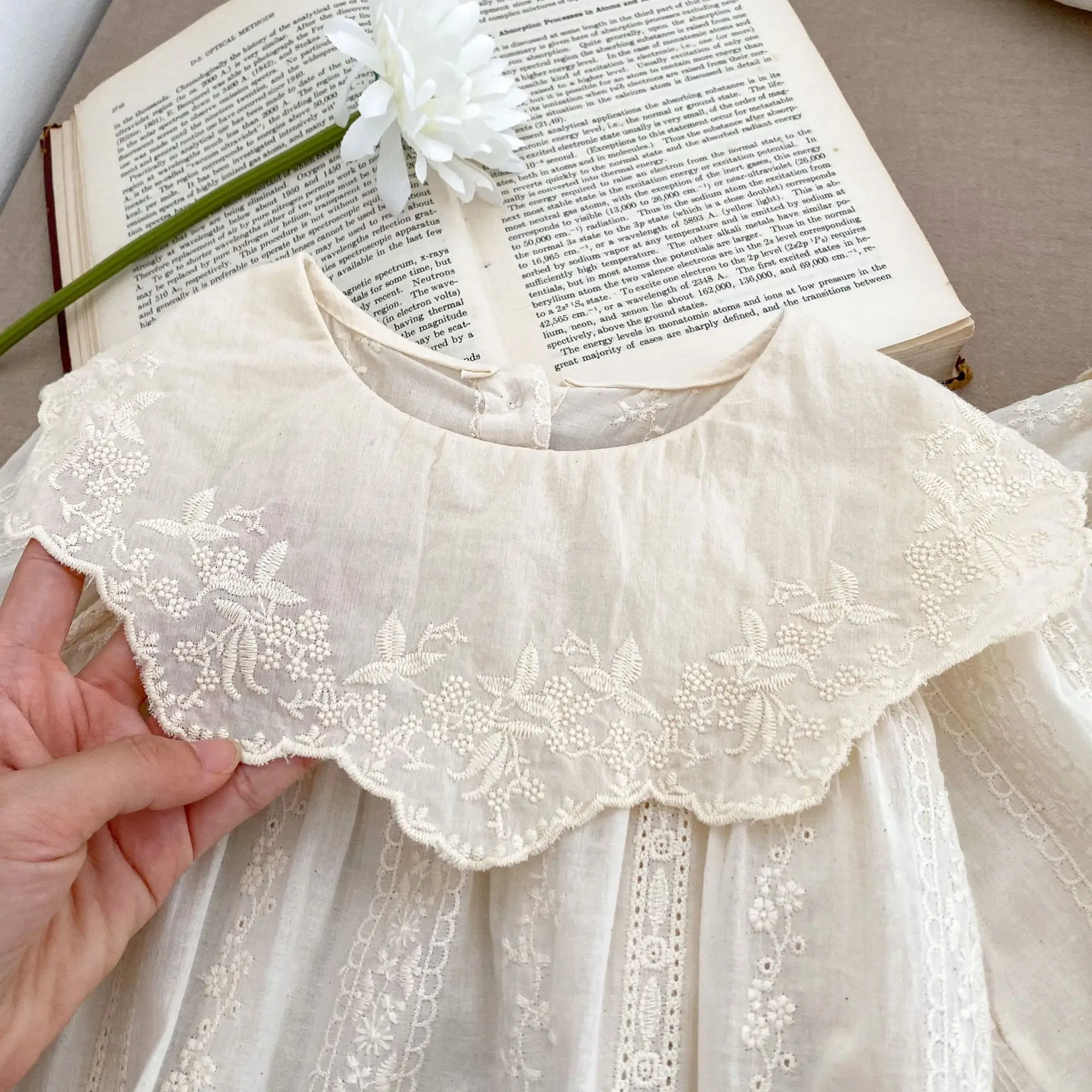2026 Autumn Princess Infant Baby Girl Bodysuit Sisters Dress Flower Embroidery Dress For Infant Sibling Girls Toddler Outfit