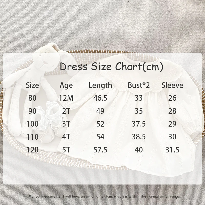 2026 Autumn Princess Infant Baby Girl Bodysuit Sisters Dress Flower Embroidery Dress For Infant Sibling Girls Toddler Outfit