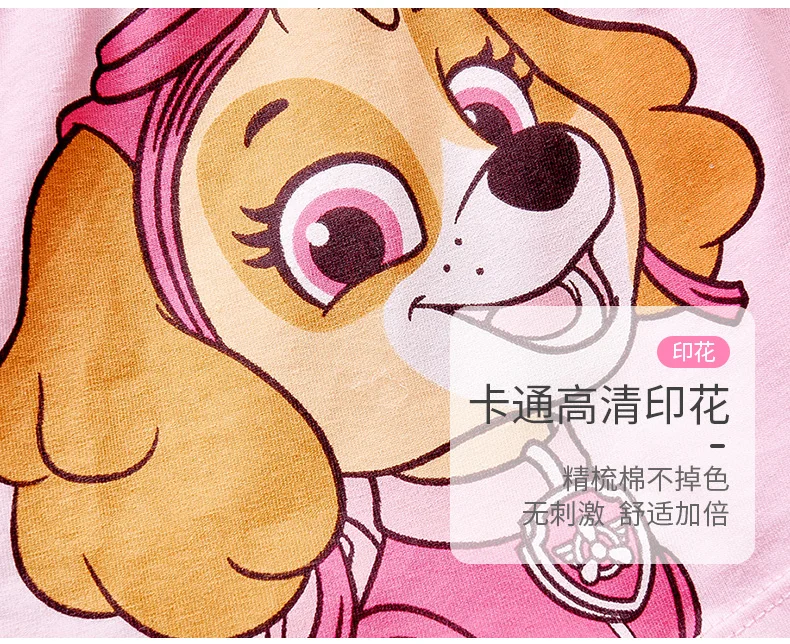 4pcs/set Genuine Paw Patrol Original Girls Undepants Skye Everest Cotton Underwear 2-4-6-8-year-old Kids Children Birthday Gift
