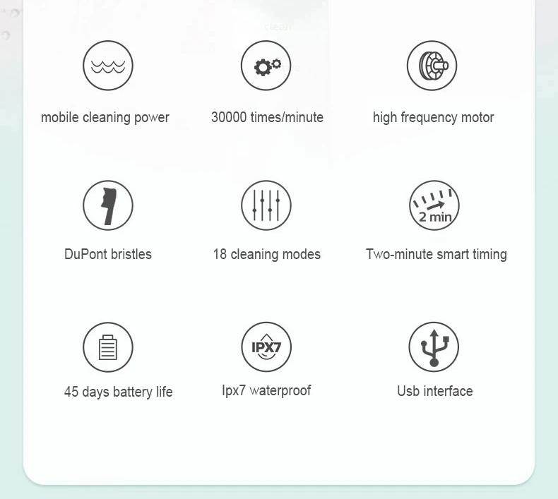 New 2024 N100 Sonic Electric Toothbrush Adult Timer Brush 6 Mode USB Charger Rechargeable Tooth Brushes Replacement Heads Set