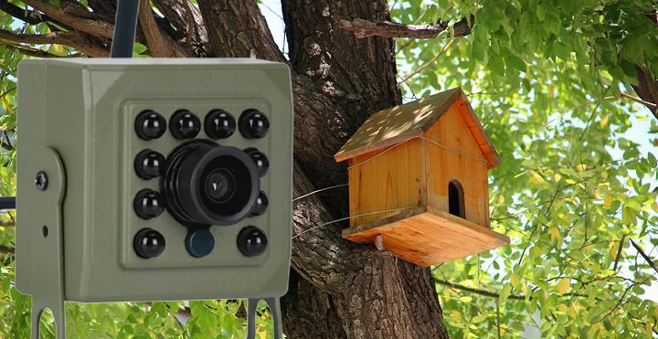 Green Wifi Bird Box Camera Audio 1920P 1080P IR CUT Night Vision RTSP FTP Mini IP IPC Pet Nest Bird Watching 2.8mm Lens Camhi