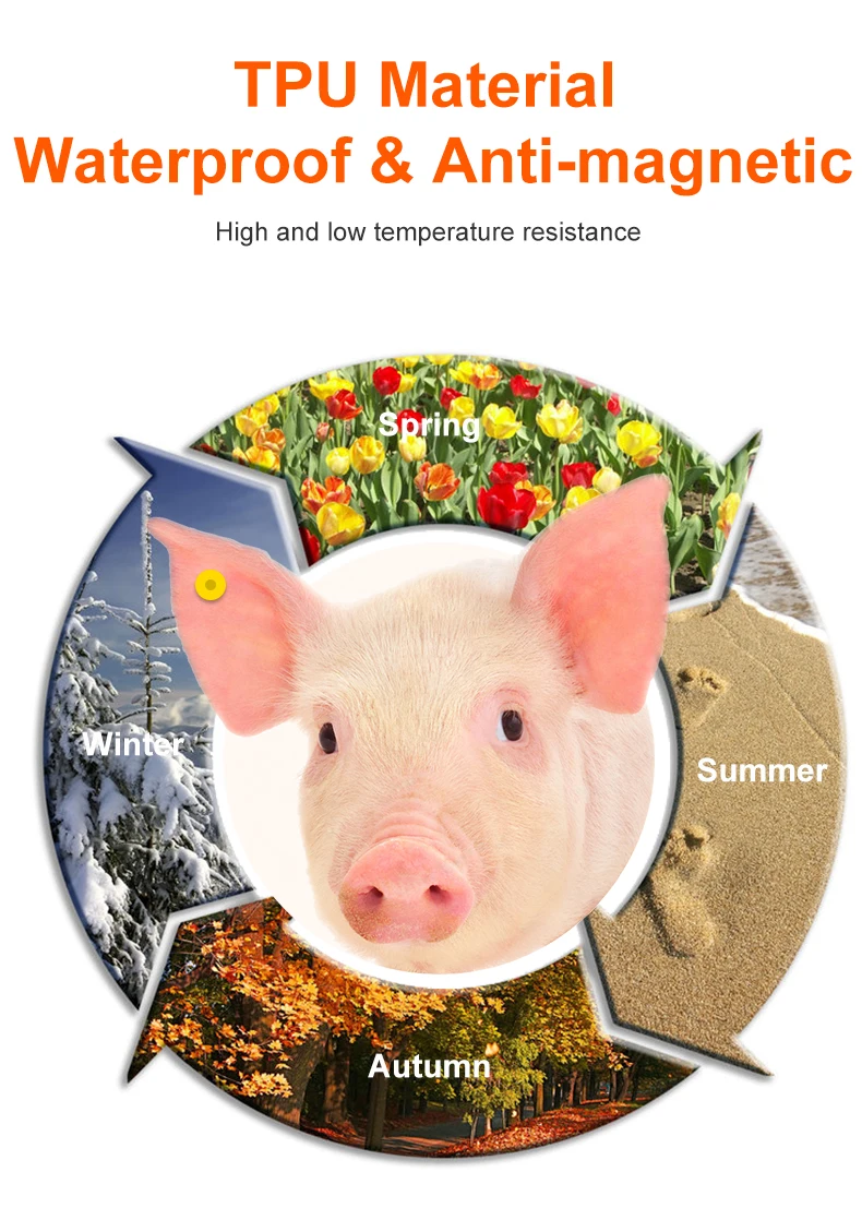 10pcs Pig Ear Tag 30mm Size Livestock Management UHF / LF RFID 860~960Mhz/ 134.2Khz Animal Ear Tags for Pig Farm