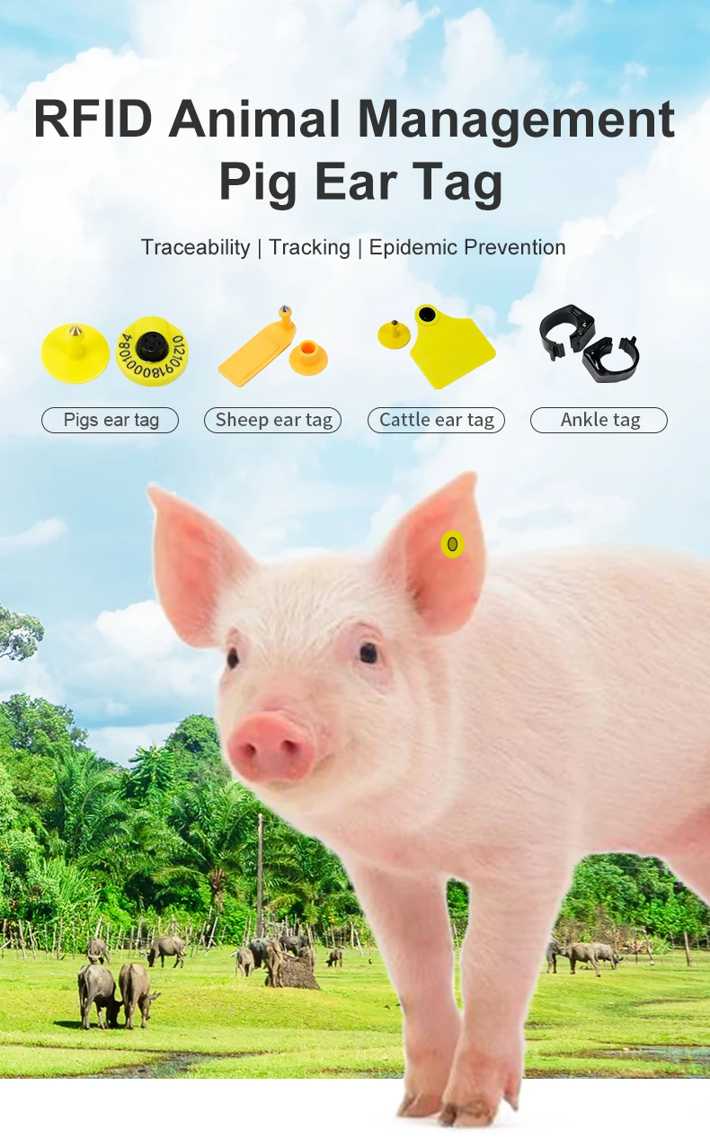 10pcs Pig Ear Tag 30mm Size Livestock Management UHF / LF RFID 860~960Mhz/ 134.2Khz Animal Ear Tags for Pig Farm