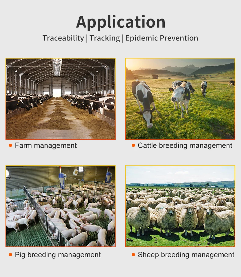 10pcs Pig Ear Tag 30mm Size Livestock Management UHF / LF RFID 860~960Mhz/ 134.2Khz Animal Ear Tags for Pig Farm