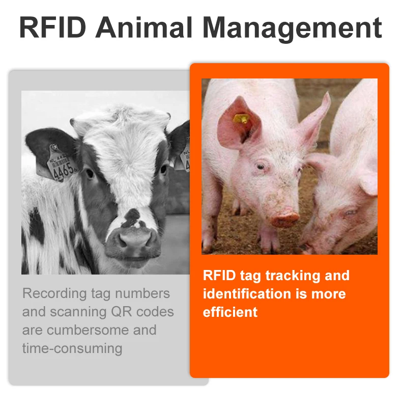 10pcs Pig Ear Tag 30mm Size Livestock Management UHF / LF RFID 860~960Mhz/ 134.2Khz Animal Ear Tags for Pig Farm