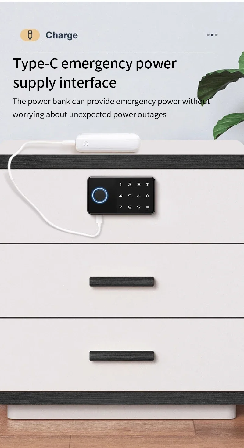 Support Tuya APP Smart Fingerprint No Punch Cam Lock Cabinet Lock Door Drawer Filing Cabinet Post Mail Box Furniture Locker