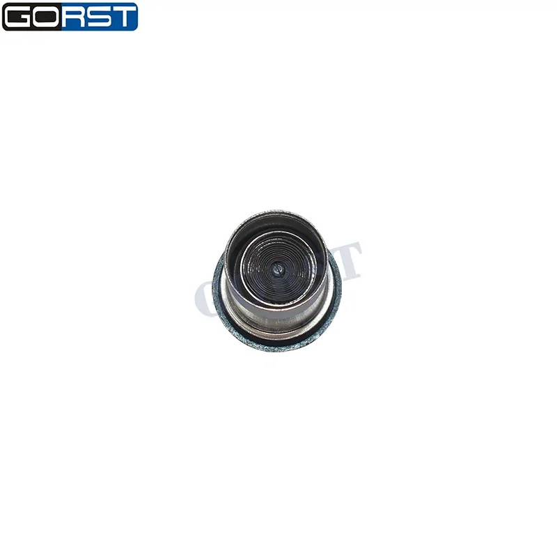 Car Cigarette Lighter 8200046338 for Renault Kangoo Megane Master Clio Dacia Auto Part 8200021577 7700434803 7700436354